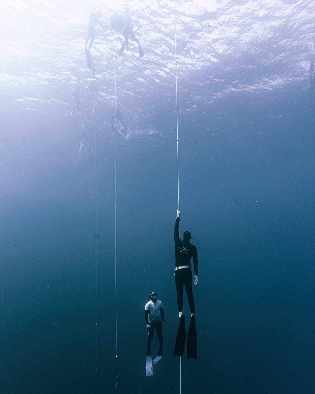 Underwater photo 5