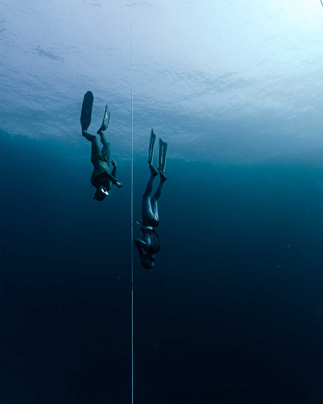 Underwater photo 6