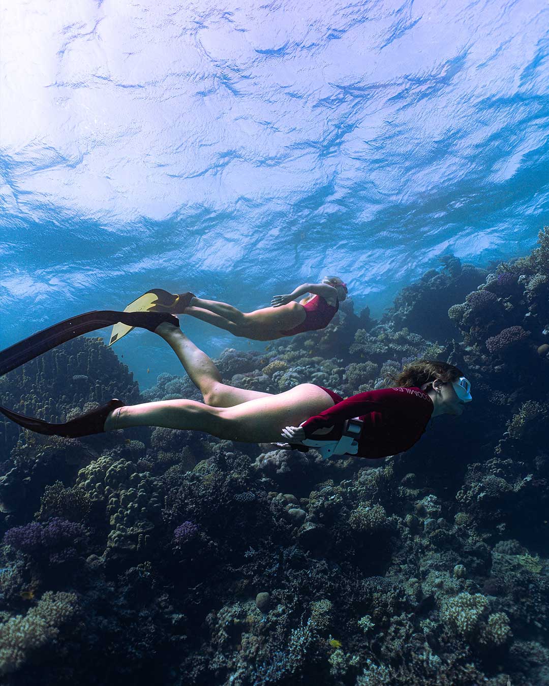 Underwater photo 7